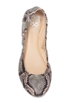 Vince Camuto Ellen Ballet Flat In Ash 08