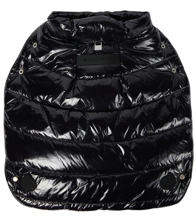 Moncler Genius Quilted Dog Vest In Black
