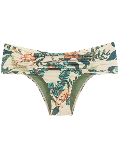 Lygia & Nanny Calça Jasper Estampada Bikini Bottoms In Green