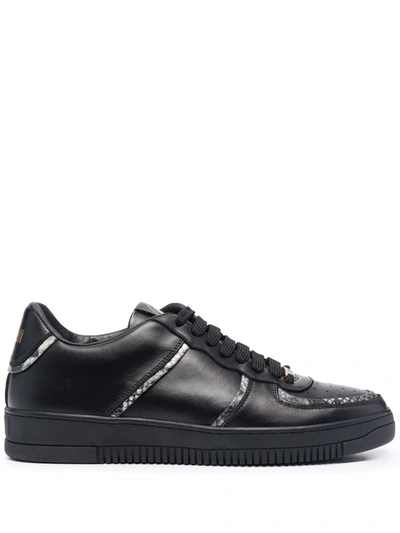 Roberto Cavalli Snake-effect Trim Leather Trainers In Black