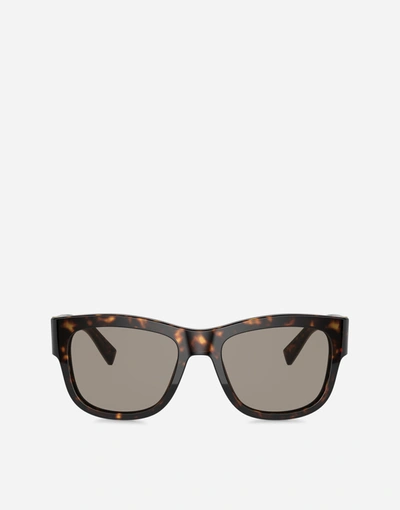 Dolce & Gabbana Gros Grain Sunglasses In Havana