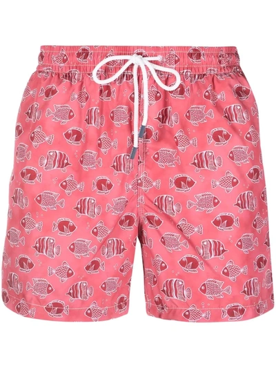 Fedeli Fish-print Swim Shorts In Pink