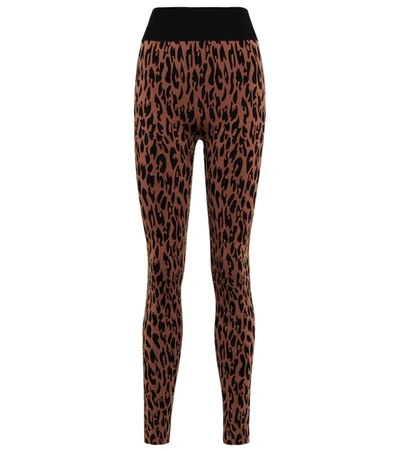 Wolford Leopard Print Tech Leggings In Coffee,black
