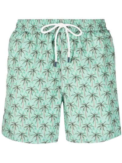 Fedeli Palm Tree-print Swim Shorts In Green