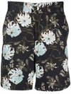 Erdem Lucius Straight-leg Floral-print Cotton-twill Shorts In Black