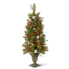 NATIONAL TREE COMPANY 4' FROSTED PINE BERRY COLLECTION ENTRANCE TREE WITH CONES, RED BERRIES & CLEAR LIGHTS IN BRONZE POT