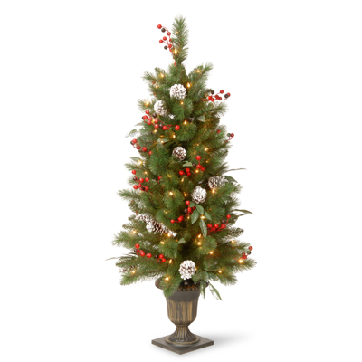 National Tree Company 4' Frosted Pine Berry Collection Entrance Tree With Cones, Red Berries & Clear Lights In Bronze Pot In Green