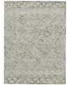 AMER RUGS BERLIN PARSALL 2' X 3' AREA RUG