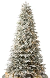 Balsam Hill 7.5-foot Artificial Led Frosted Light Fraser Fir Tree In Candlelight Clear Led