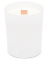 Visvim Blaise Mautin Scented Candle In Weiss