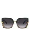 Dolce & Gabbana Dolce And Gabbana 52mm Grad Sunglasses In Print Leo/ Black/grey Gr Black