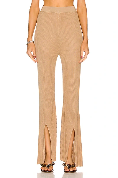 Cult Gaia Dalia Pant In Brown