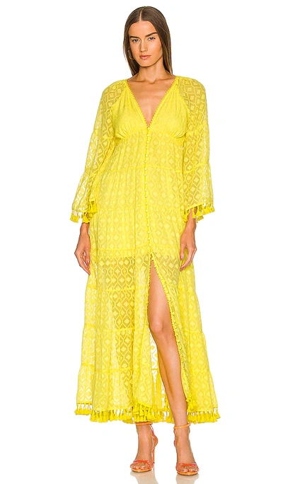 Alice And Olivia Alexandria Tasseled Fil Coupé Chiffon Maxi Dress In Yellow