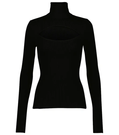 Dolce & Gabbana Ribbed-knit Turtleneck Jumper In Black
