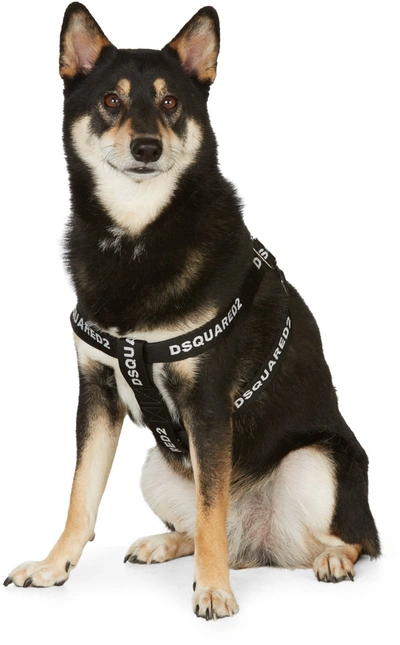 Dsquared2 Black Poldo Dog Couture Edition Nastro Dog Harness In 2124 Nero