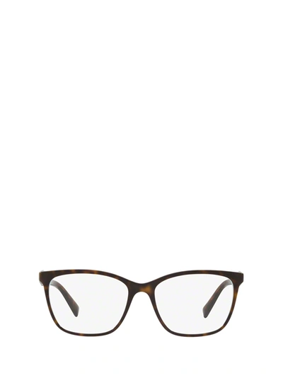 Tiffany & Co . Tf2175 Havana On Tiffany Blue Glasses