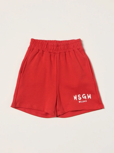 Msgm Kids' Cotton Shorts With Logo In Red
