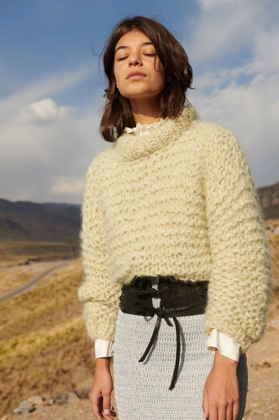Ayni Lion Sweater In Rosewater