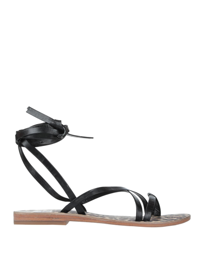 Bibi Lou Toe Strap Sandals In Black | ModeSens