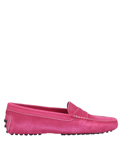Tod's Woman Loafers Fuchsia Size 8 Leather In Pink