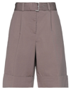 Peserico Woman Shorts & Bermuda Shorts Cocoa Size 4 Cotton, Elastane In Brown