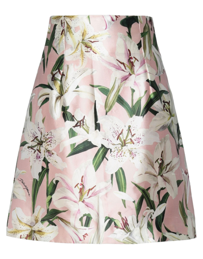 Dolce & Gabbana Mini Skirts In Blush