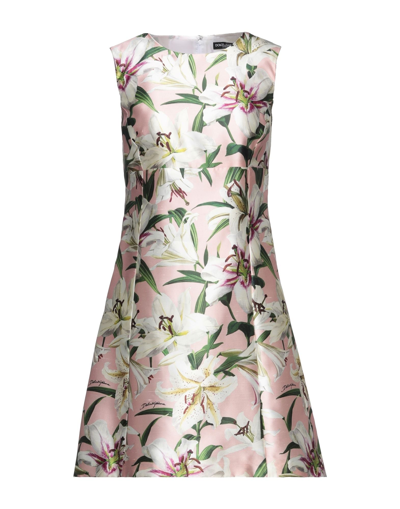 Dolce & Gabbana Short Dresses In Blush