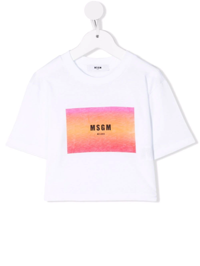 Msgm Kids' Logo-print Cropped T-shirt In White