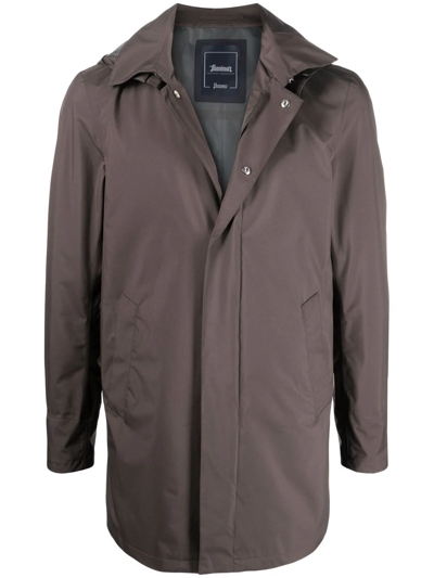 Herno Hooded Zip-up Raincoat In Brown
