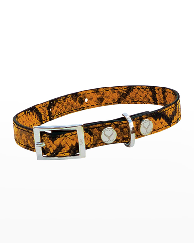 Shaya Pets Taylor Pet Collar In Yellow & Black