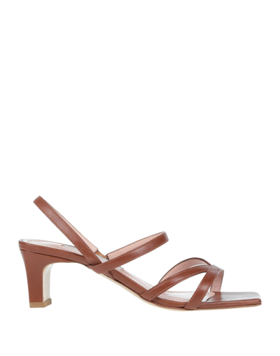 Francesco Sacco Sandals In Brown