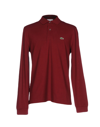 Lacoste 三扣领口 男装经典优雅休闲长袖polo衫 In Maroon