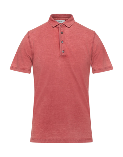Alpha Studio Polo Shirts In Brick Red