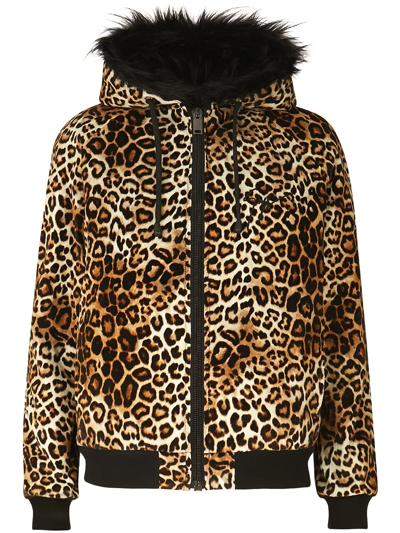 Giuseppe Zanotti Tasha Leopard-print Hooded Jacket In Brown