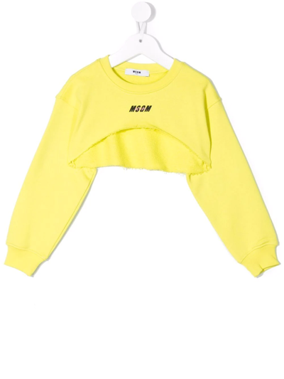 Msgm Teen Logo-print Cropped Sweatshirt In Lime
