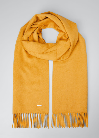 Loro Piana Cashmere Sciarpa Grande Fringe-trim Scarf In Citrine Quartz