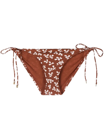 Tory Burch Bikini Briefs With Floral Print In Braun