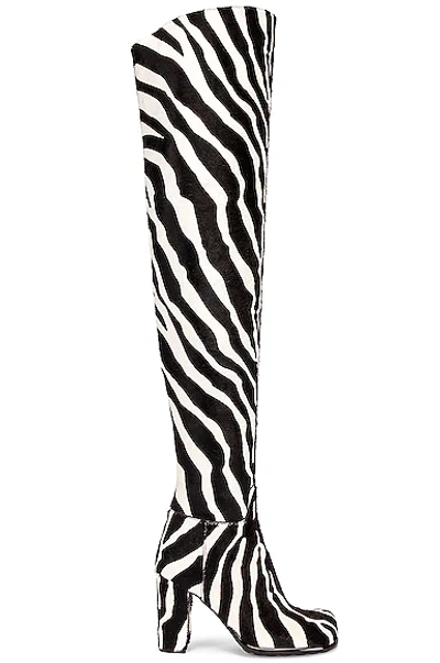 Bottega Veneta Women's Calf Hair High Heel Over The Knee Boots In White & Zebra