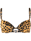 Dsquared2 Leopard Print Bikini Top In Schwarz