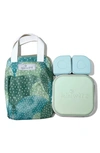 MINIWARE GROW BENTO BOX & LUNCH TOTE SET