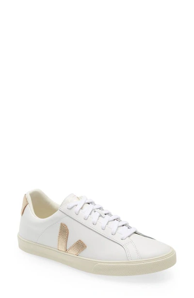 Veja Campo Bicolor Low-top Sneakers In Extra White/nacre