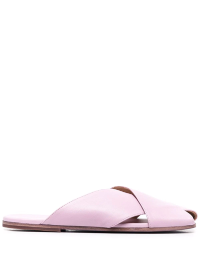 Marsèll Spatola Flat Sandals In 951 Lavender