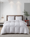 MARTHA STEWART HUNGARIAN GOOSE DOWN ALL SEASON COMFORTER, FULL/QUEEN