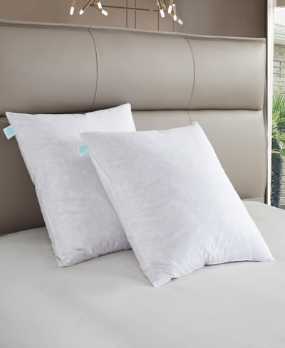 Martha Stewart Feather Firm 2-pack Pillow, European In White