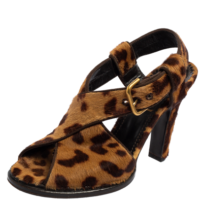 Pre-owned Saint Laurent Brown Leopard Print Calf Hair Slingback Sandals Size 36.5