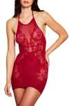 HAUTY HAUTY MESH & LACE HALTER CHEMISE