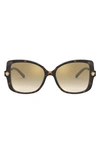 Versace 56mm Rectangular Sunglasses In Havana