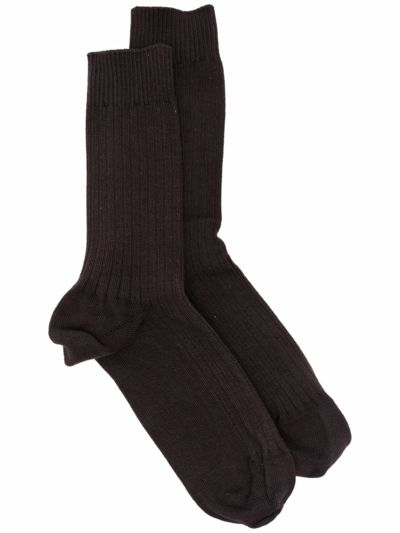 Baserange Cotton-blend Ribbed Knit Socks In Brown