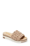 Sam Edelman Women's Ainslie Platform Slide Sandals In Desert Beige