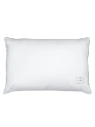 Gingerlily Silk Blend Pillow, Standard In White